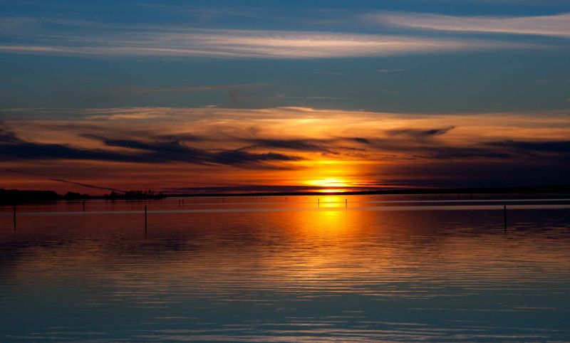 evening at ross barnett.jpg